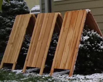 Cedar Shrub Protectors